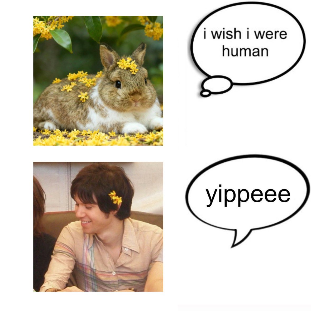 R 击 || TAI… TODAY !! (@seatednsweating) on Twitter photo 