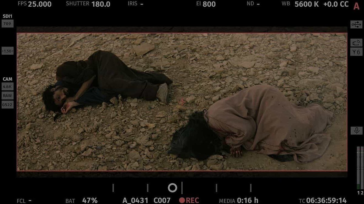 Thana . ثناء tweet media