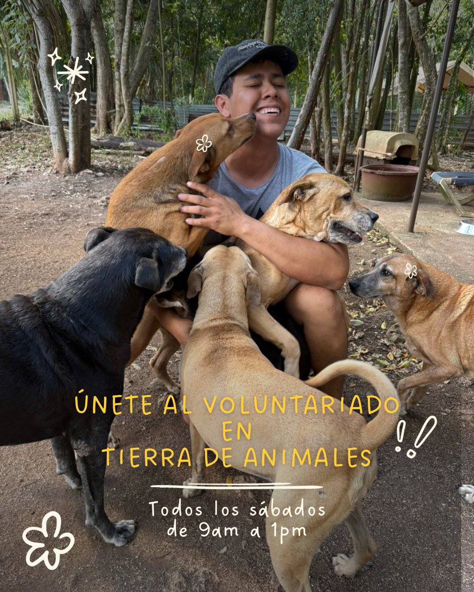 Tierra de Animales AC tweet media