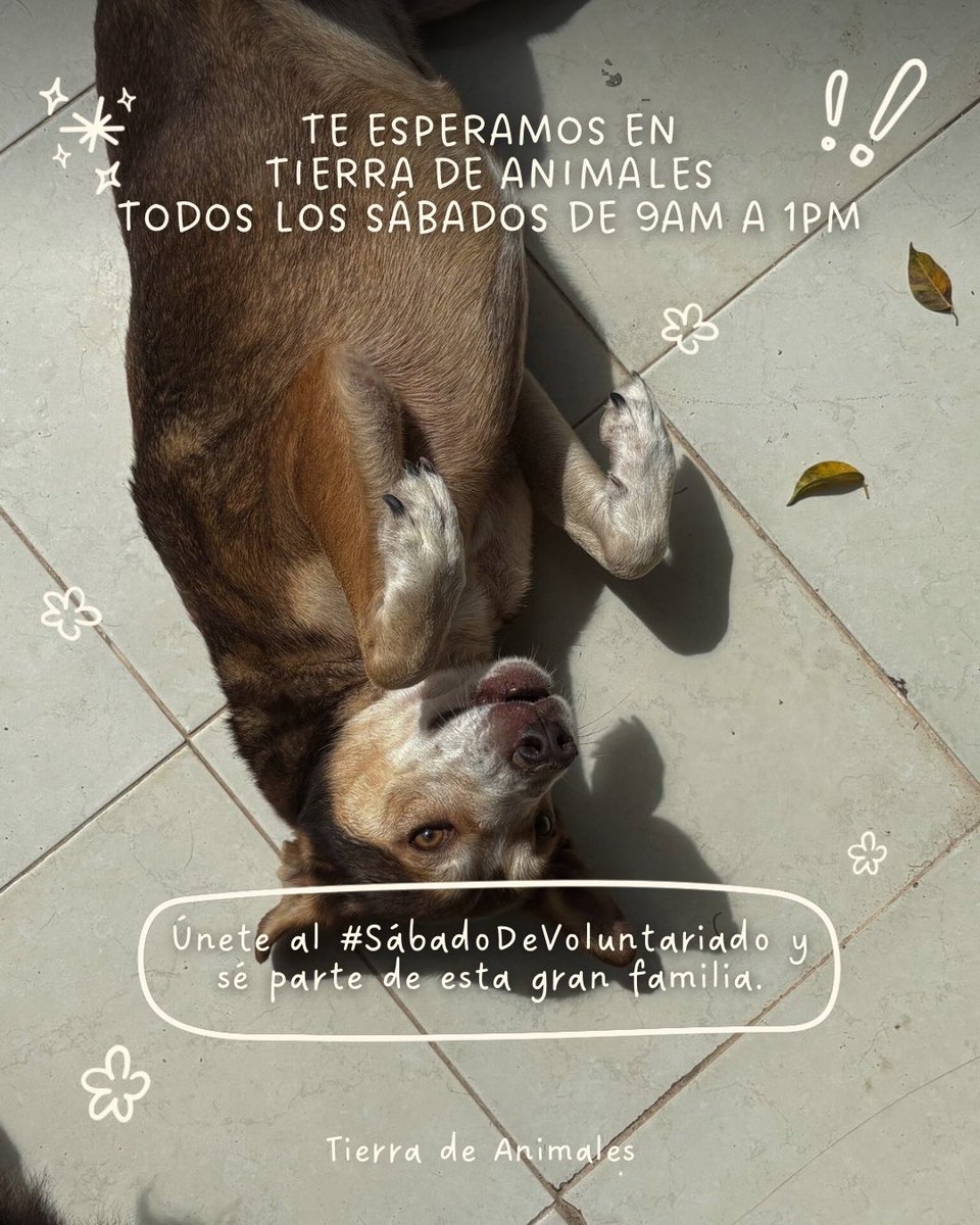 Tierra de Animales AC tweet media