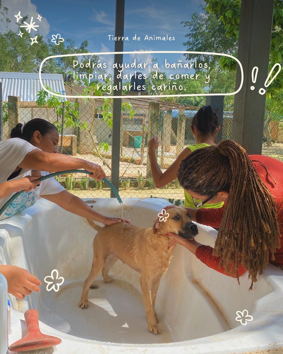 Tierra de Animales AC tweet media