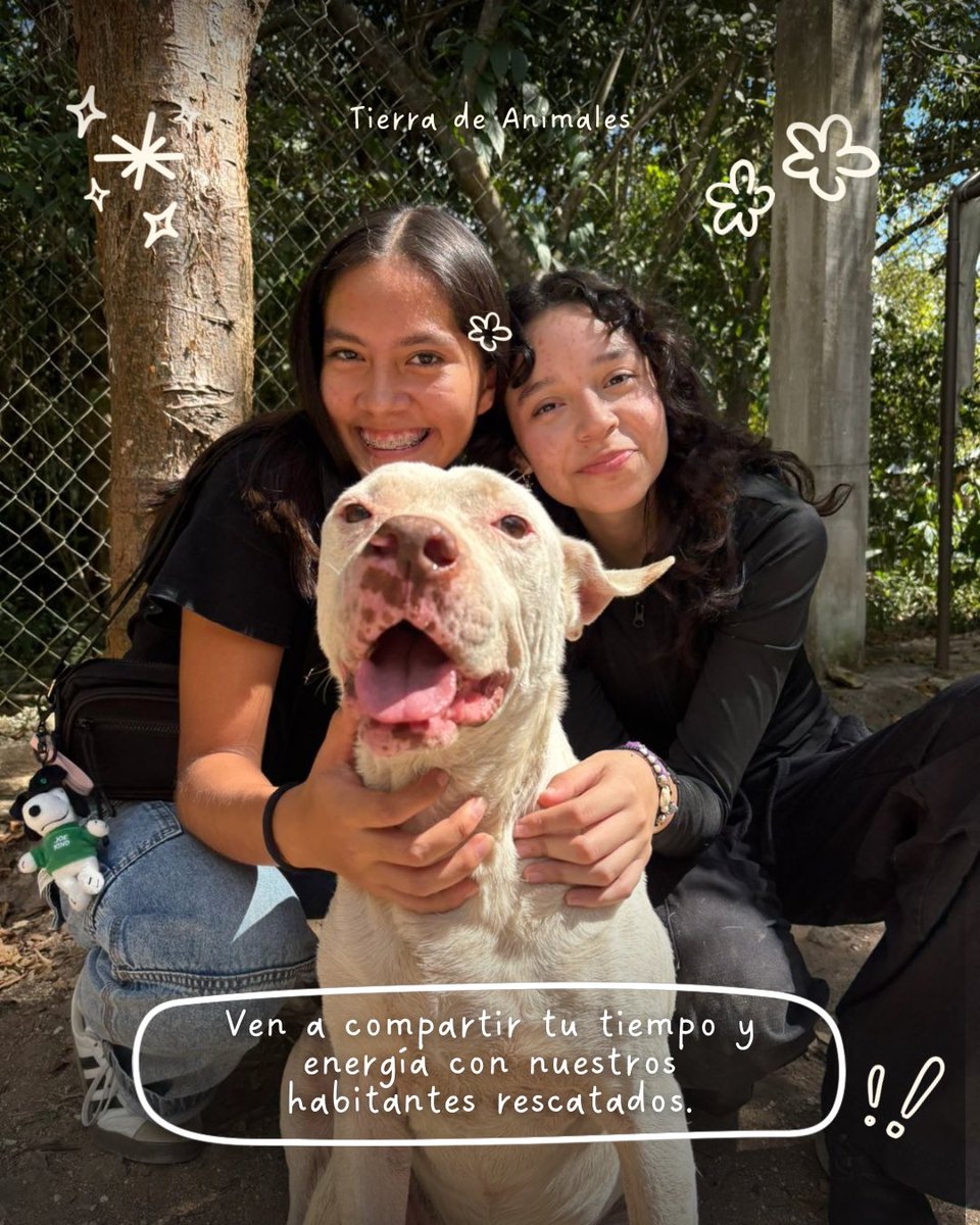 Tierra de Animales AC tweet media