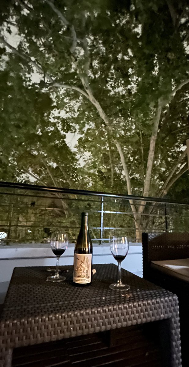 ®ǝʇuǝɯǝp ɹǝɾnɯ 🧉43 tweet media