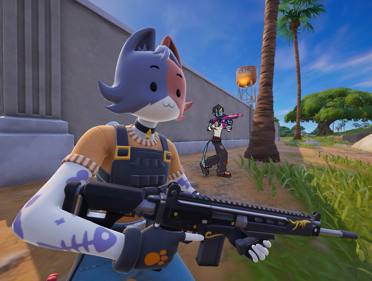 Daily Cate Meowdy (@dailymeowdy) on Twitter photo 