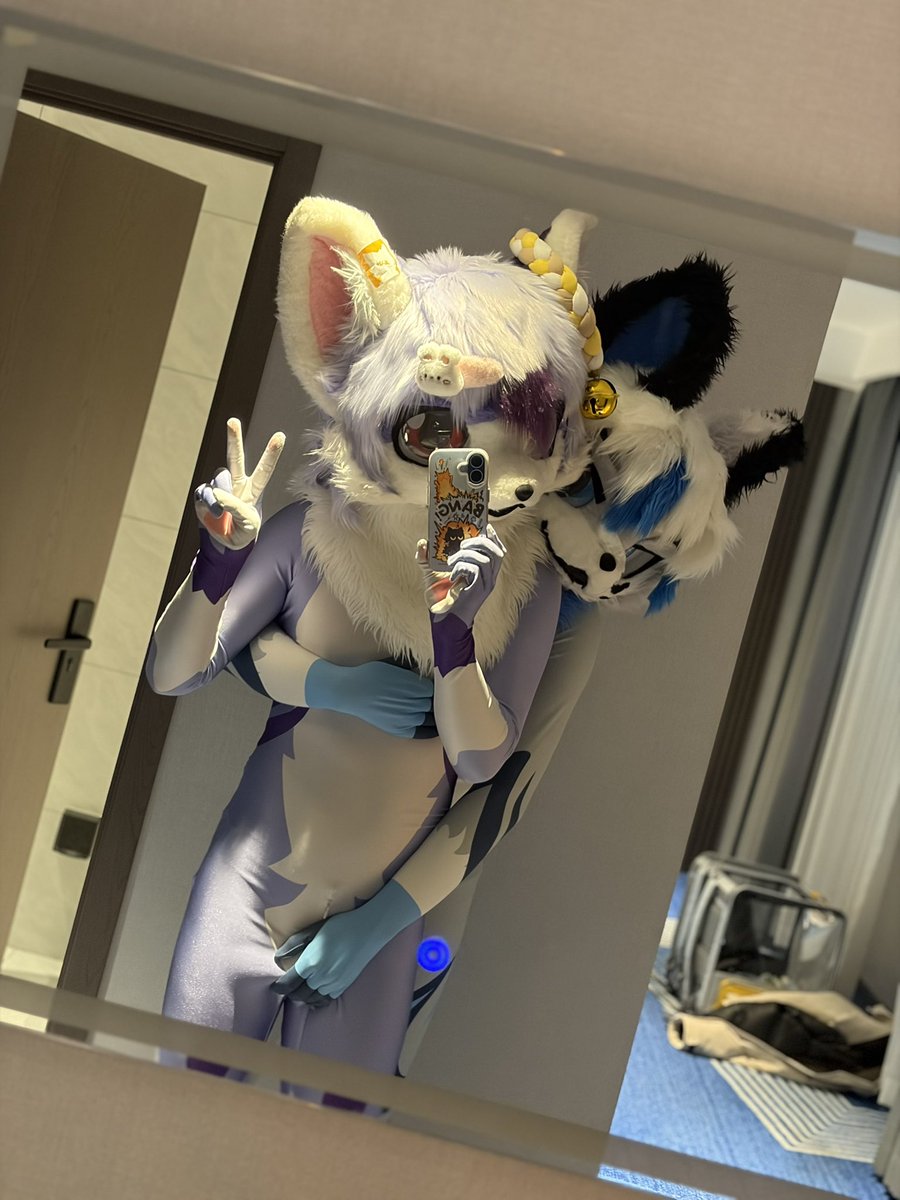 furry小糖喵🇨🇳 tweet media