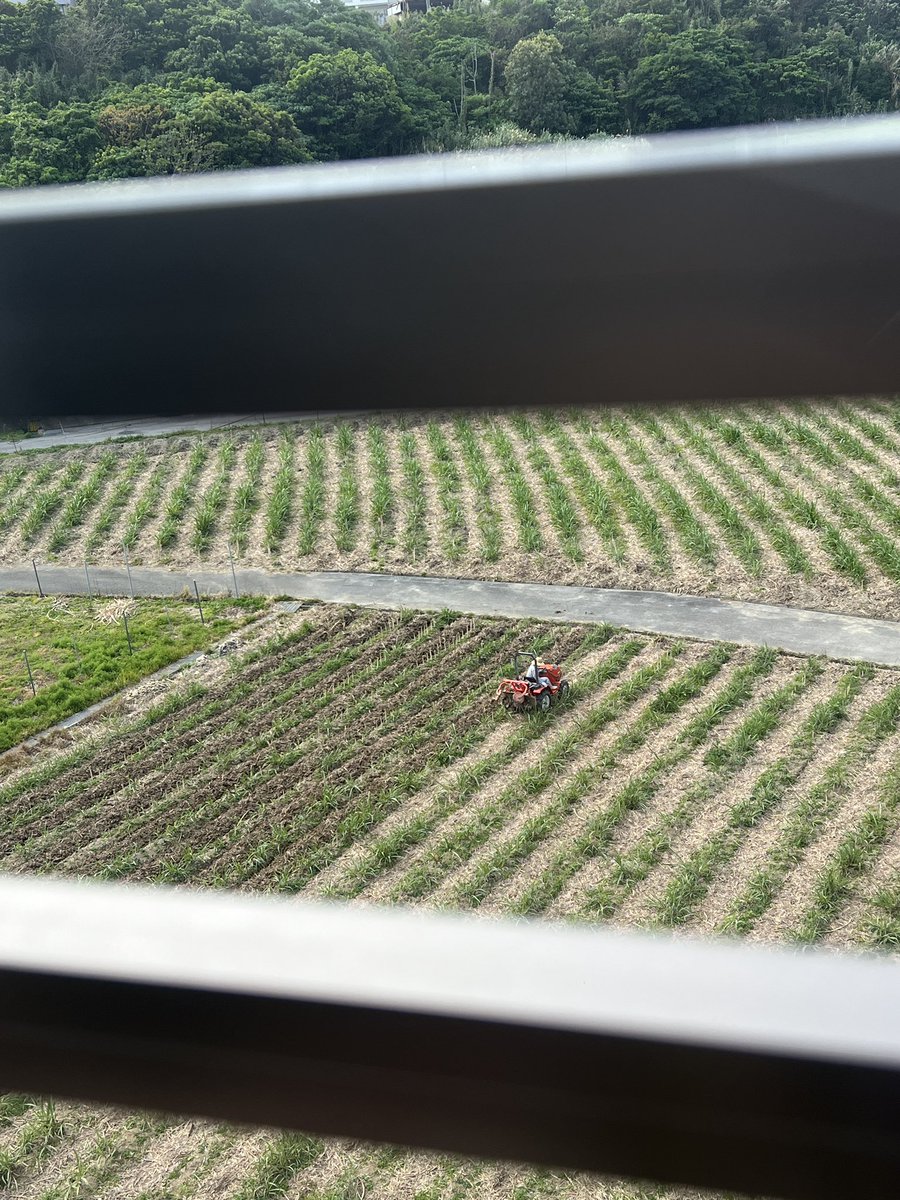 千英・ちえたんたたたん 🍮 tweet media