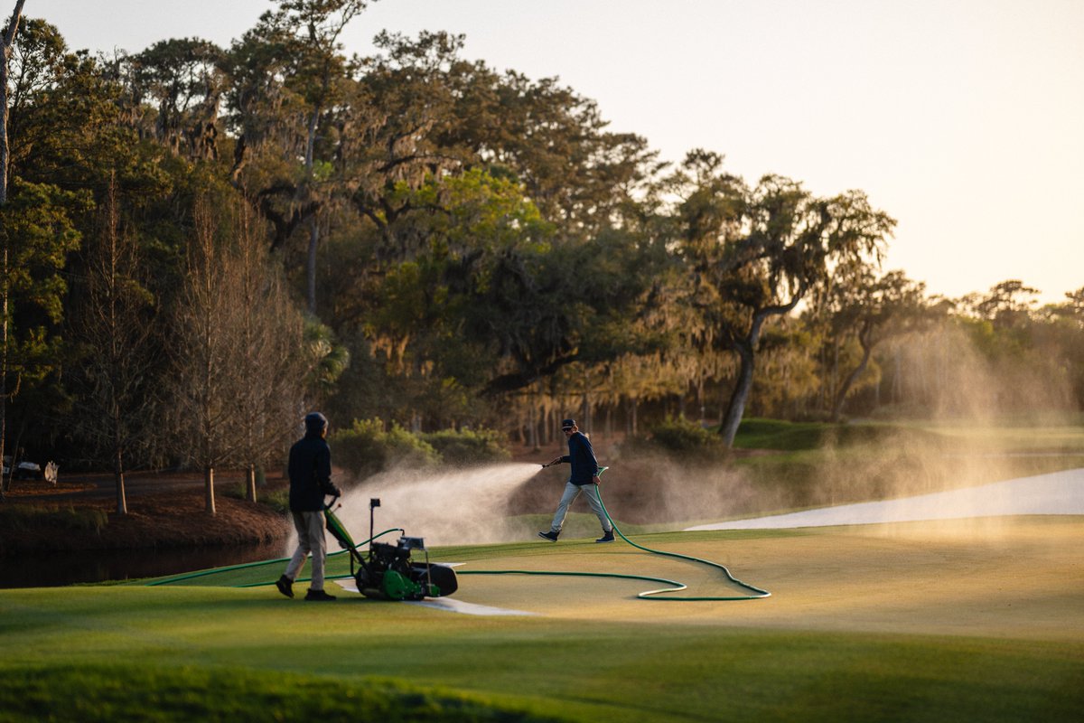 THE PLAYERS tweet media