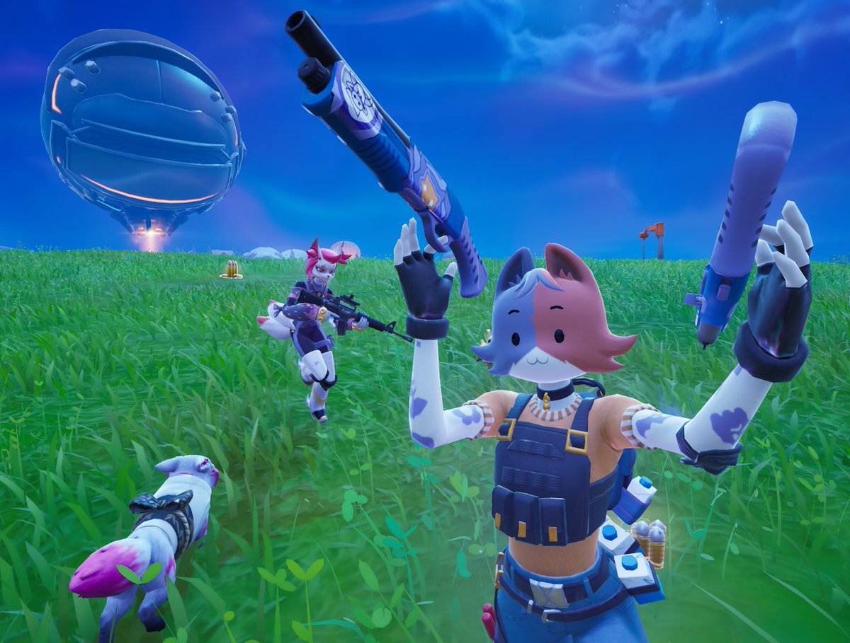 Daily Cate Meowdy (@dailymeowdy) on Twitter photo 