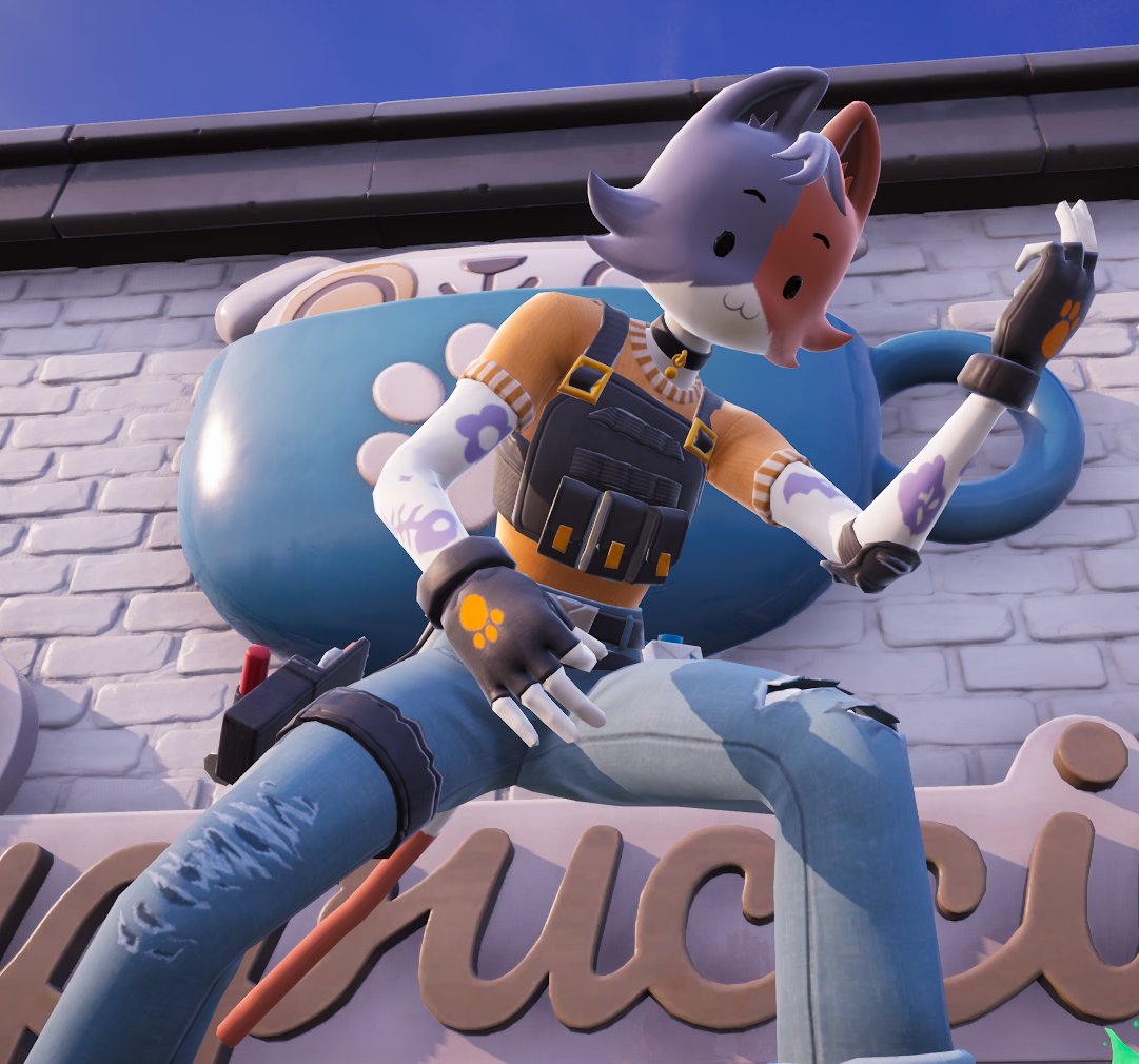 Daily Cate Meowdy (@dailymeowdy) on Twitter photo 