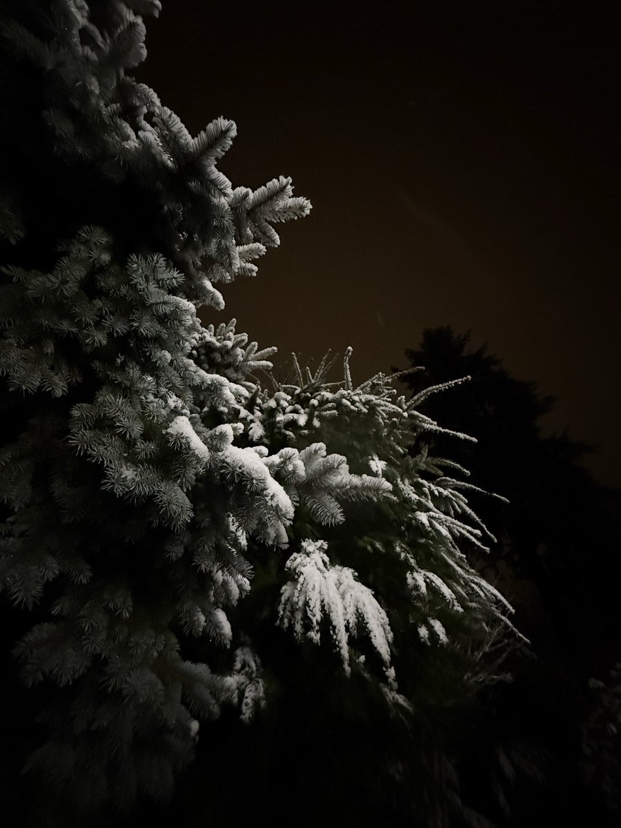 Michelle R. Zimmerman, PhD #MIEExpert #LongCovid tweet media