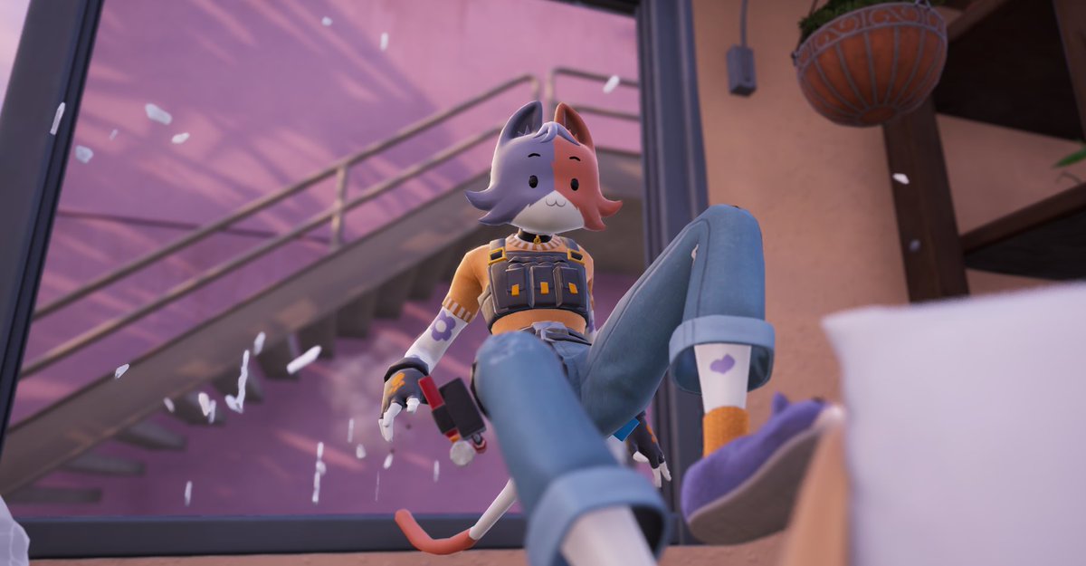 Daily Cate Meowdy (@dailymeowdy) on Twitter photo 