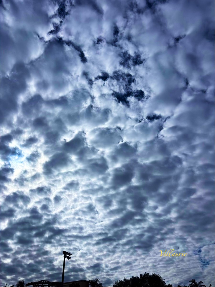 VijayEllaurie's tweet photo. Drop your cloud pic!
Let’s see what the sky looked like through your lens. ☁️ https://t.co/jmwQFjloyr