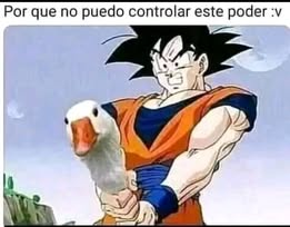 Steven Oscars tweet media