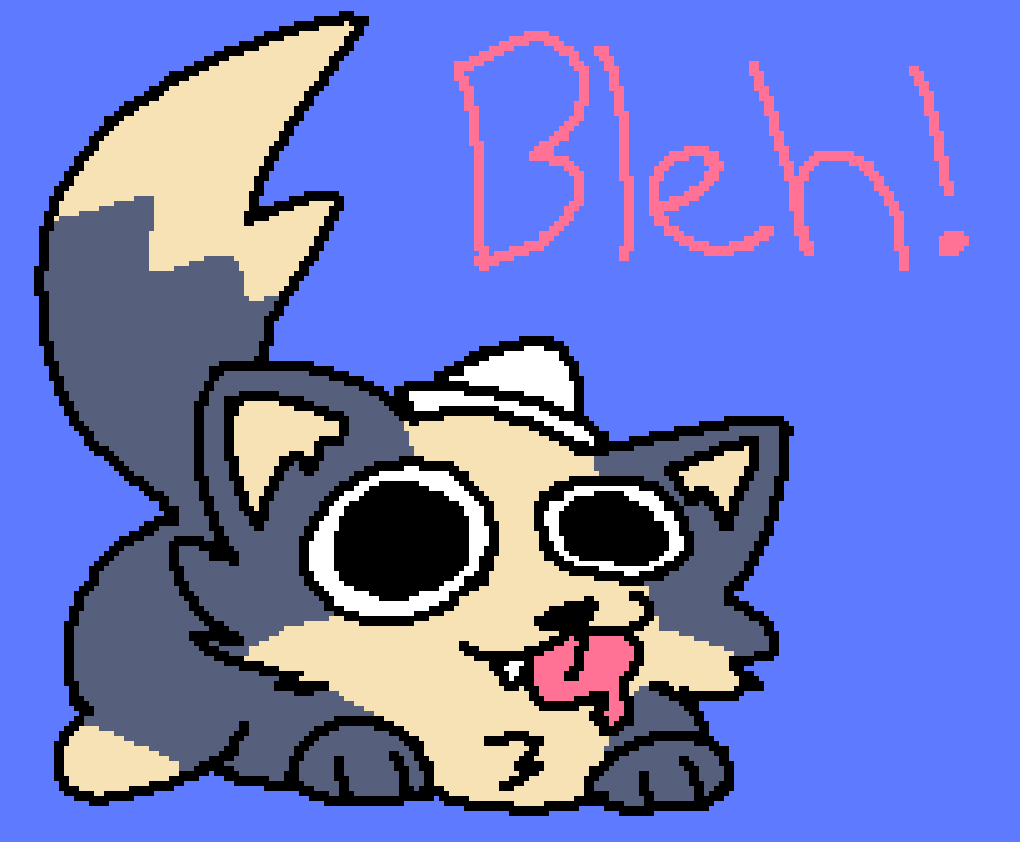 sailordog tweet media