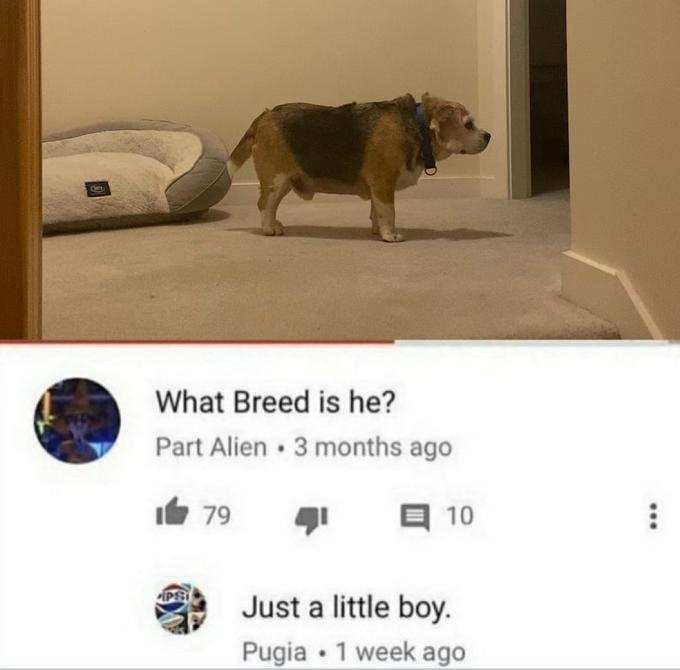 Delavar Productions tweet media