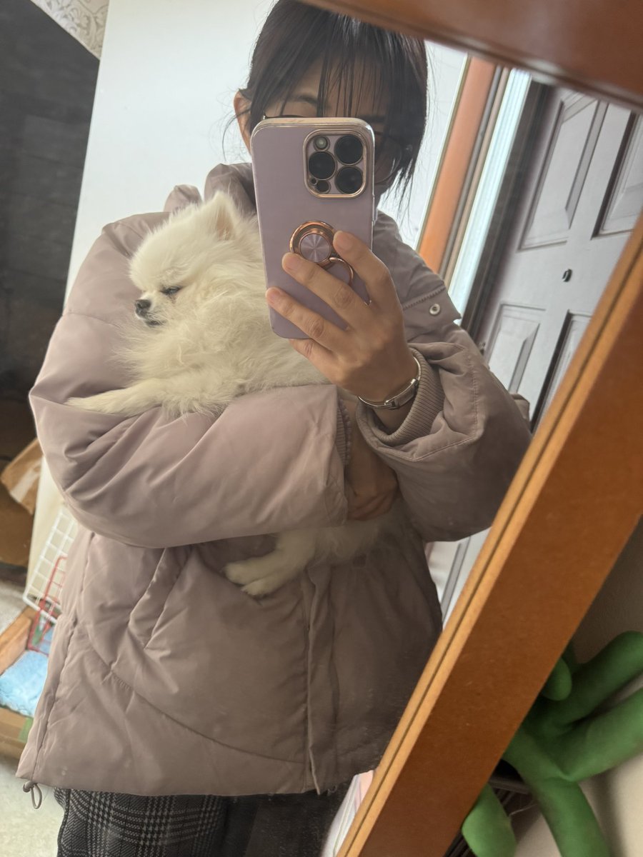 TPtomoko917's tweet photo. 昨夜1時半　龍が天国へ。
今朝お迎え行ってきました。
いつもの抱っこみたい

今まで何度この顔に歩き方に癒されたことか。写真や動画がありすぎる。

何年後かにまた会おうね♡大好きやよ💕ありがとうね。 https://t.co/d9qgPGFG9j