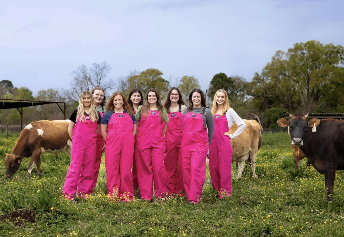 LSU Vet Med Dean tweet media