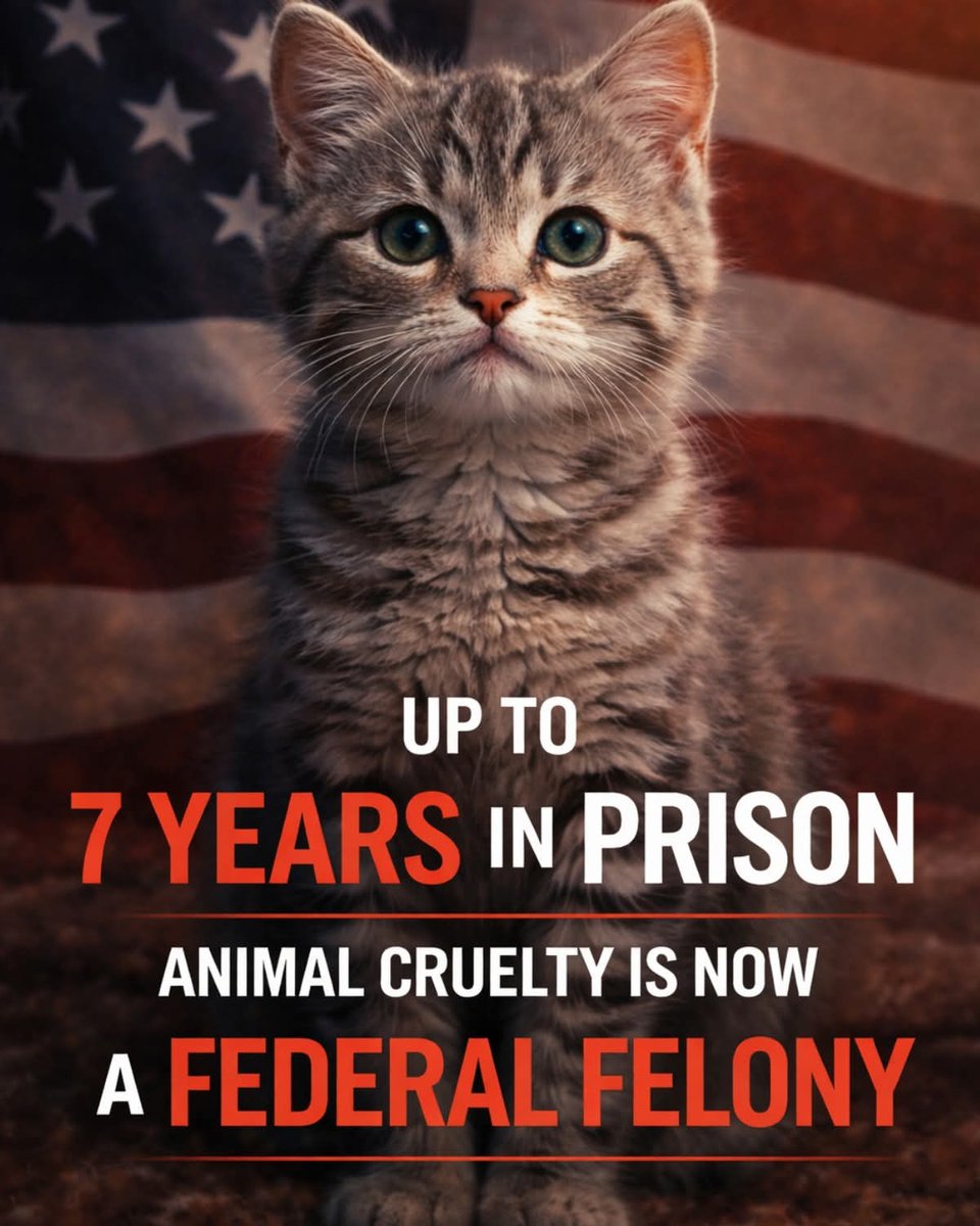 Peggy Dodson tweet media