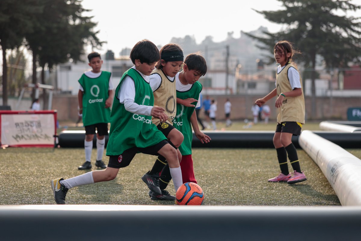 Federación Mexicana de Futbol tweet media