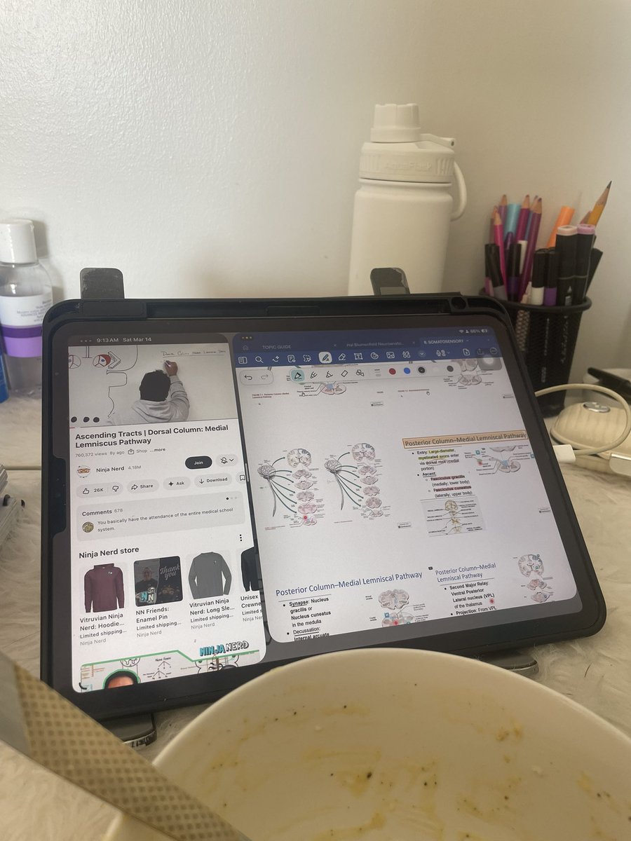 md cutie tweet media