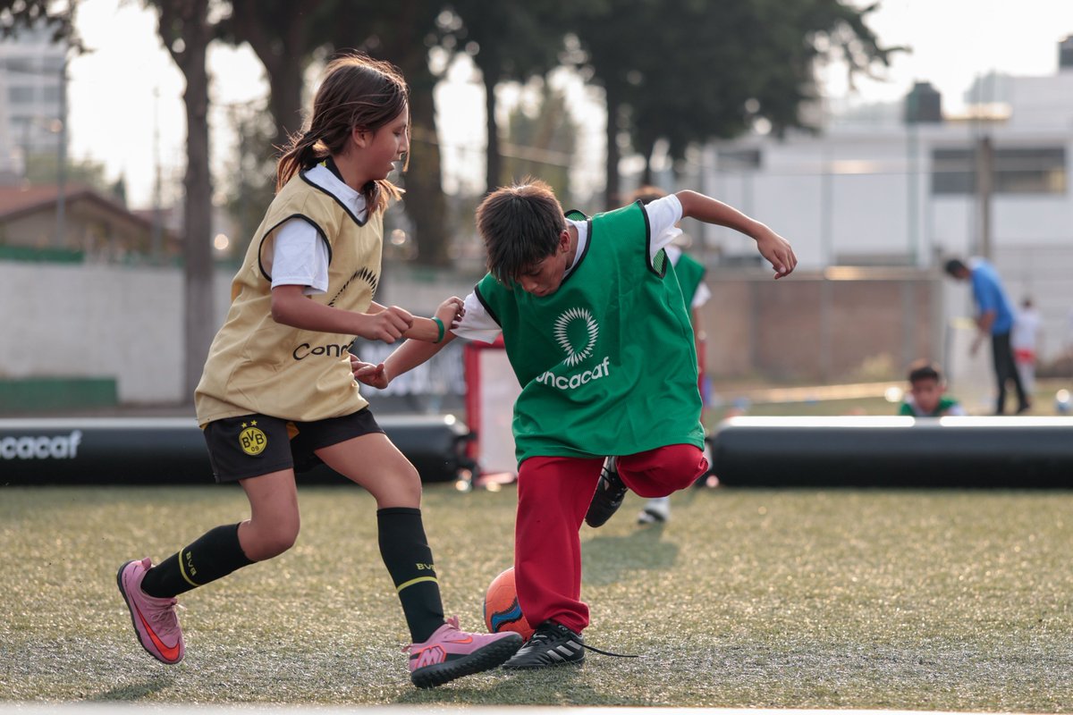 Federación Mexicana de Futbol tweet media