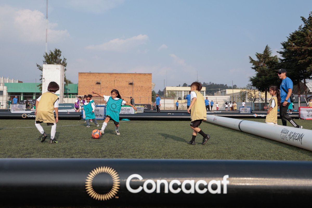 Federación Mexicana de Futbol tweet media