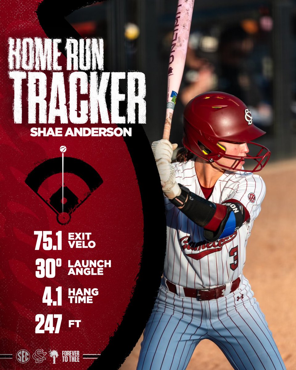 South Carolina Softball tweet media