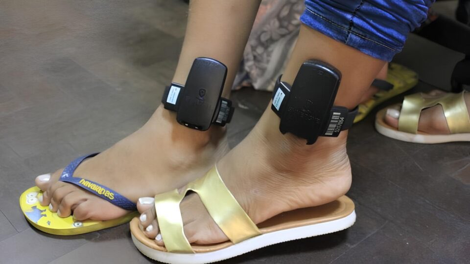 noveleiro tweet media