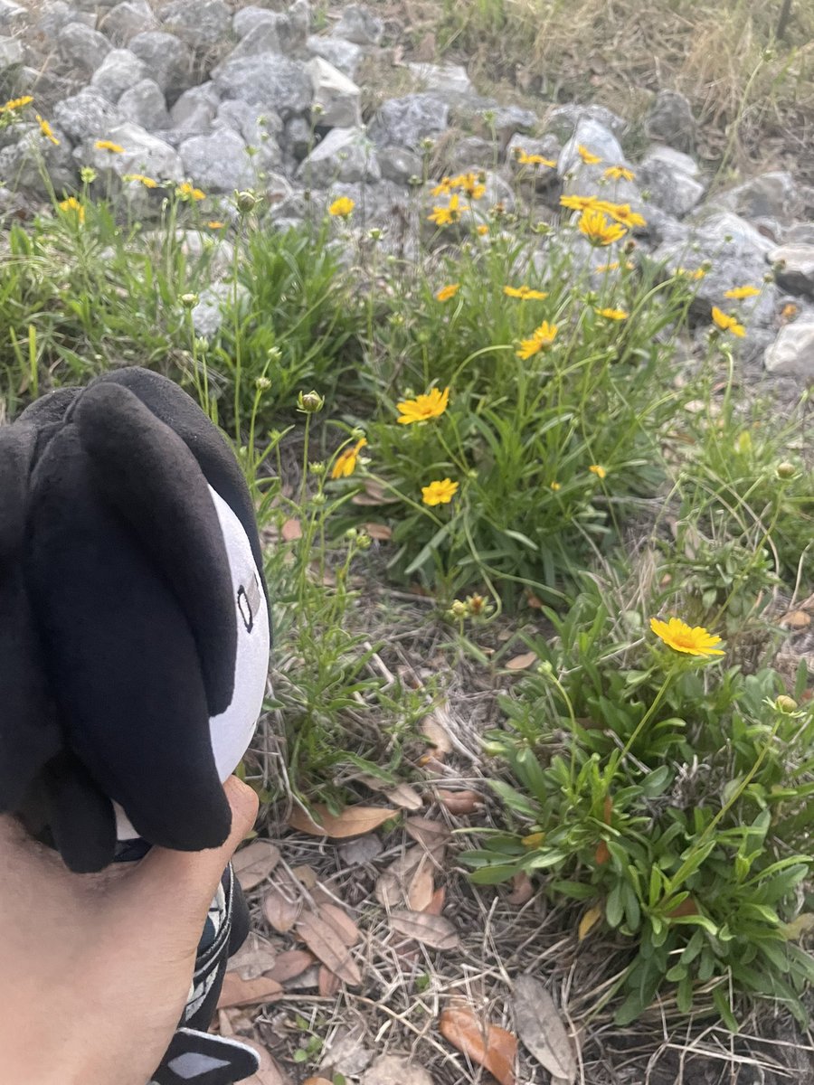 Anxiousss tweet media