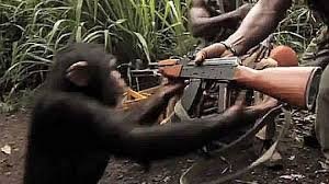 cada vez que laburo exageradamente toda la semana y después me compro un sixpack de cerveza me siento así