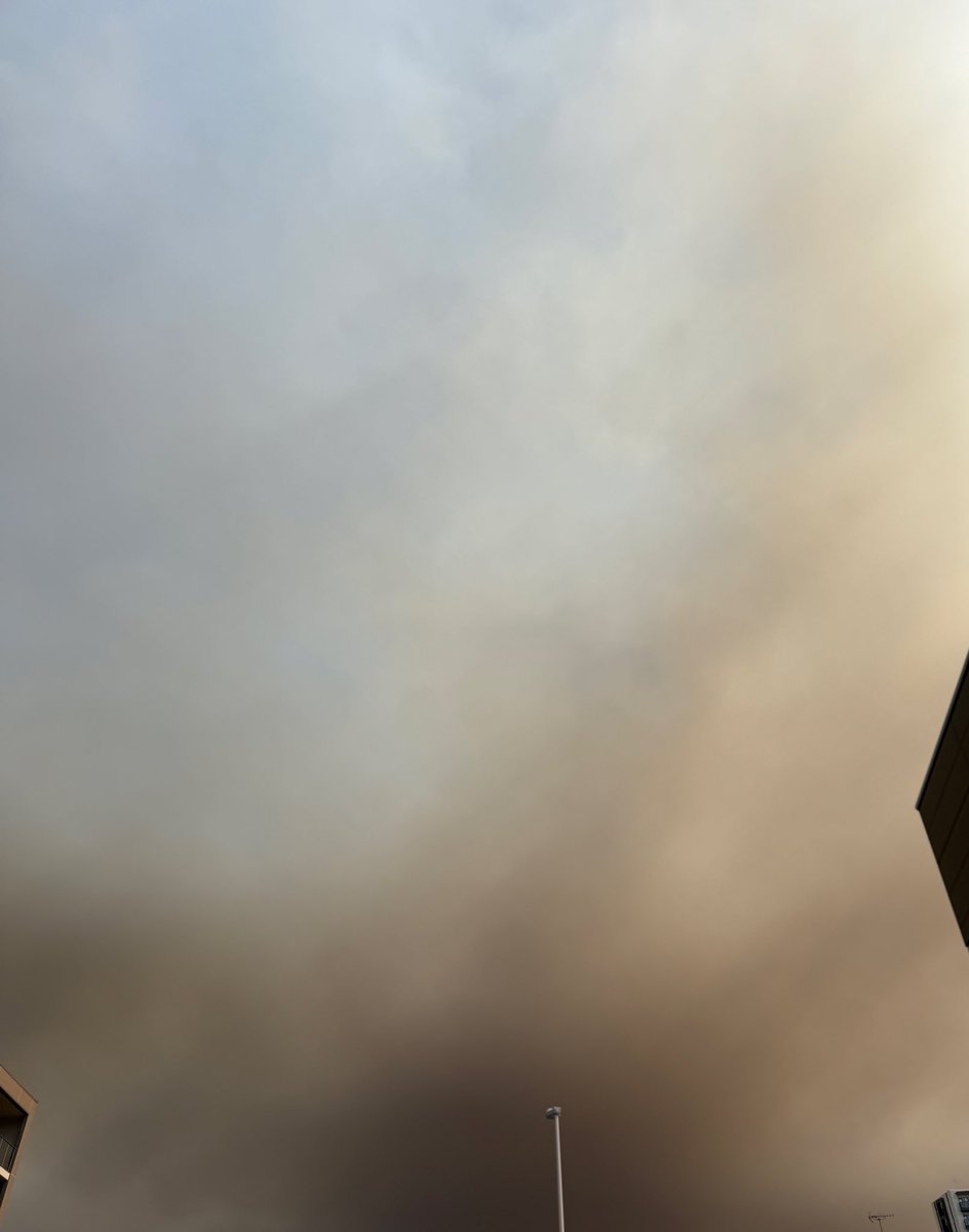 えみゅてん tweet media