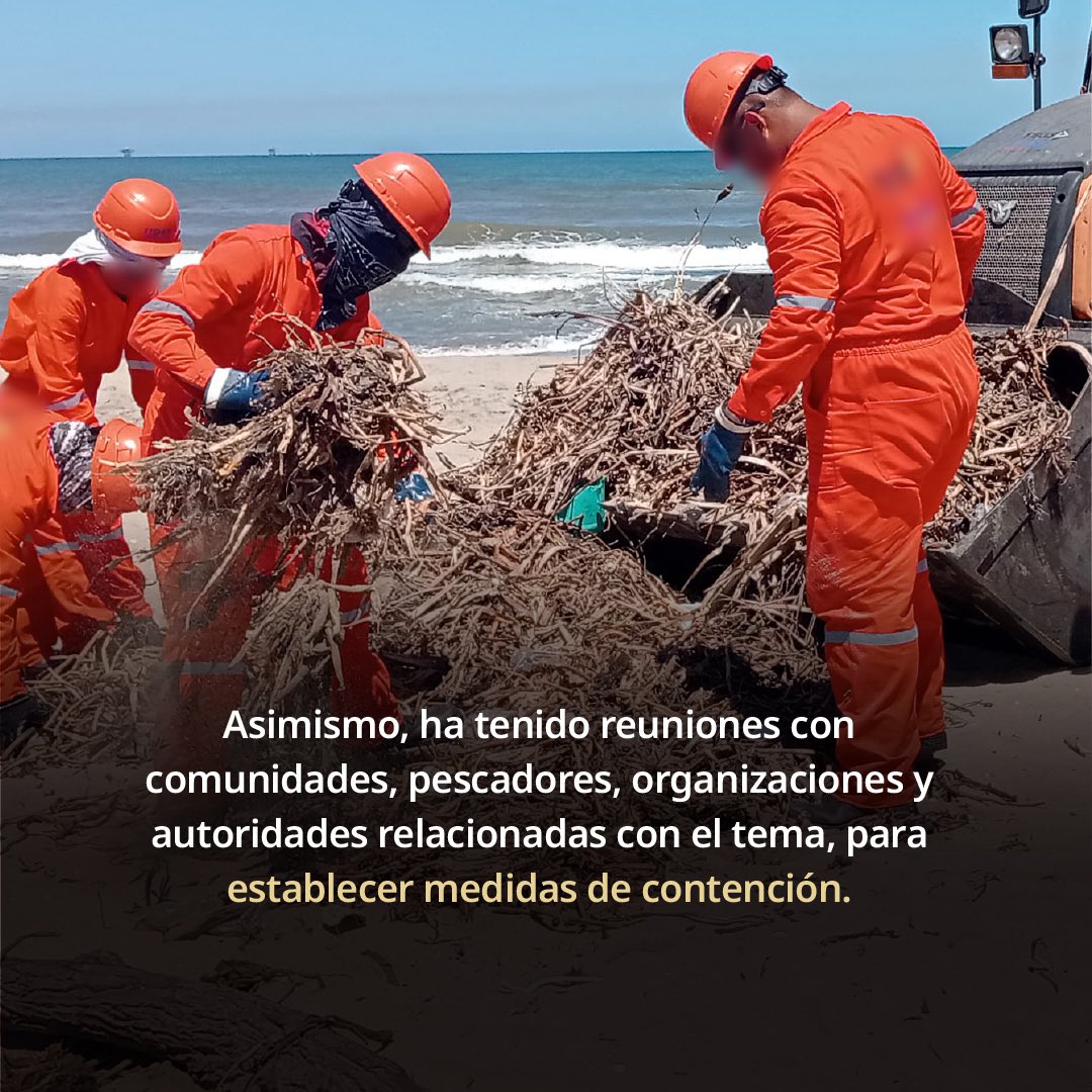 mariana_boy's tweet photo. Ante la presencia de hidrocarburos en las costas de Veracruz y Tabasco, la Profepa mantiene brigadas de inspección y vigilancia permanentes. Nuestra prioridad es clara: coadyuvar en la contención del daño y asegurar que, una vez identificada la fuente del contaminante, se aplique la ley con todo rigor para garantizar la reparación del daño ambiental. No daremos un paso atrás en la protección de nuestros litorales. 

En la @PROFEPA_Mx trabajamos junto a @Semar_mx y @agencia_asea para determinar responsabilidades y salvaguardar nuestro patrimonio natural. El compromiso es con la vida marina y con quienes viven del mar. 

Aquí  el comunicado ➡️ https://t.co/a0tqZluQZo