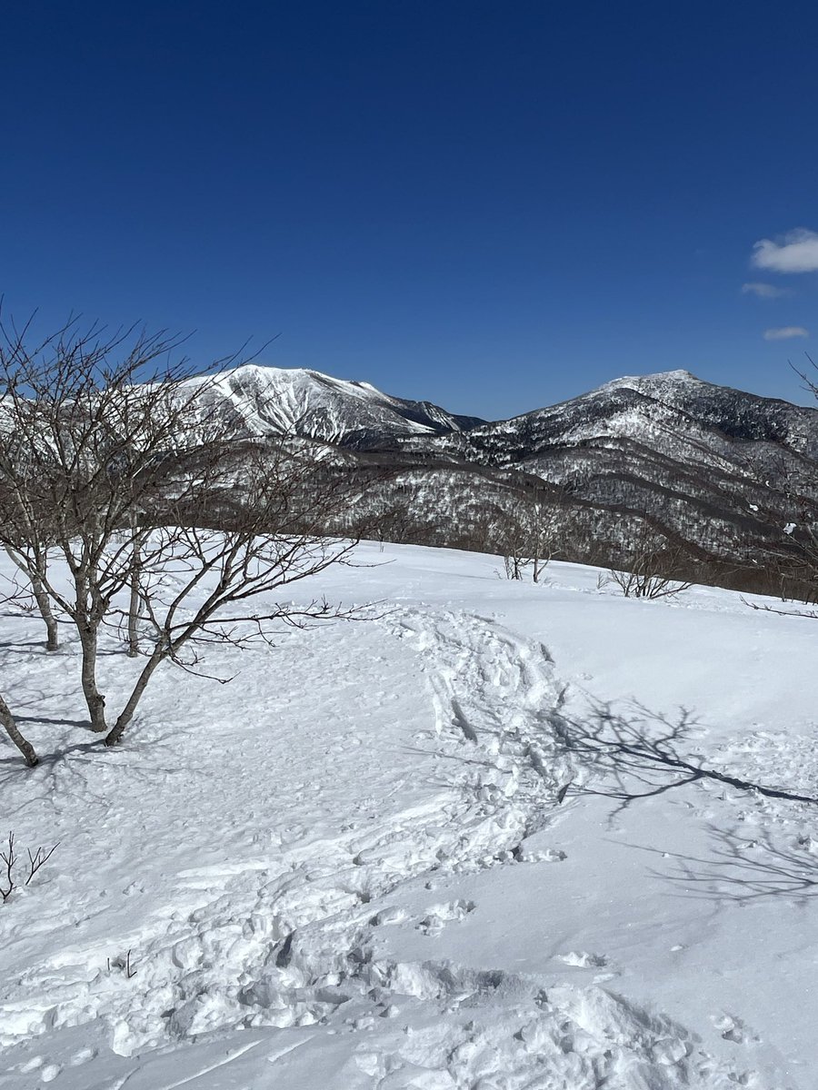 いわてTM346/JQ7DQO tweet media