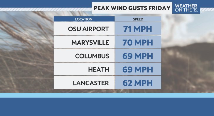 Tyler Sebree ⚡️ tweet media