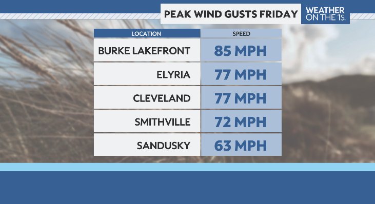 Tyler Sebree ⚡️ tweet media