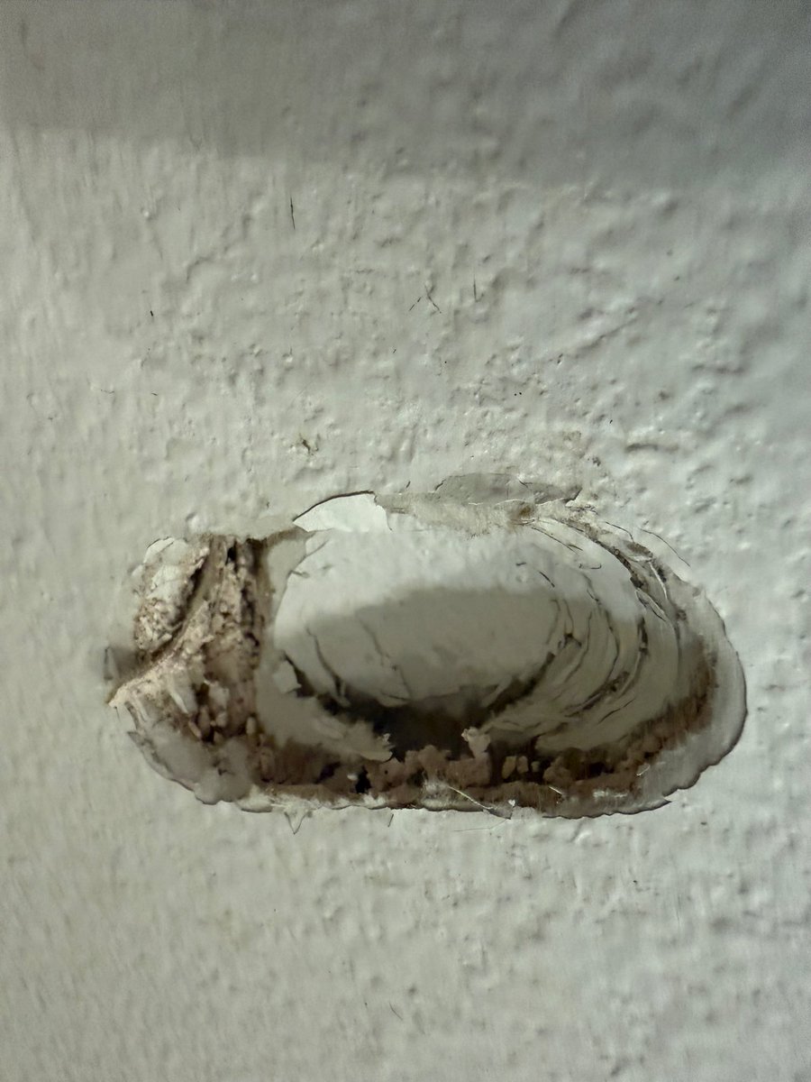 KC NoDak Brim 🇺🇸 tweet media