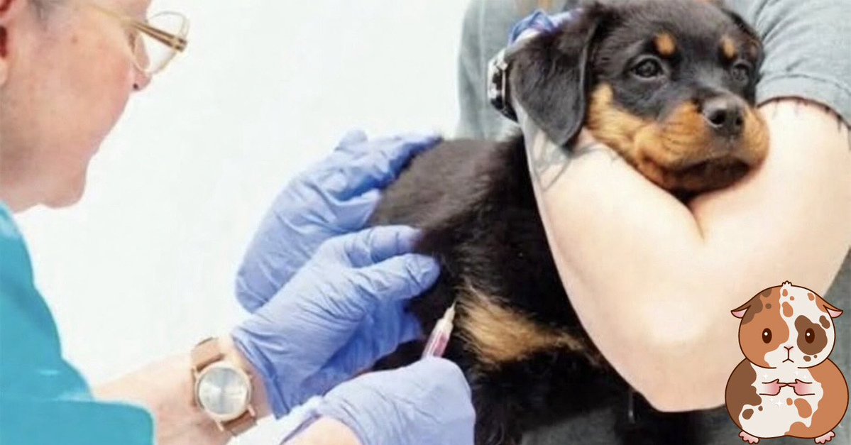 “Sudden And Unexpected” tweet media