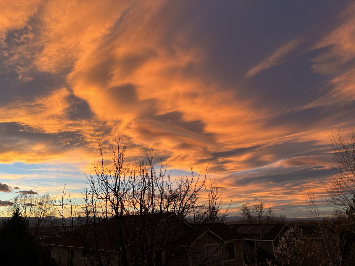 Marc Stout tweet media