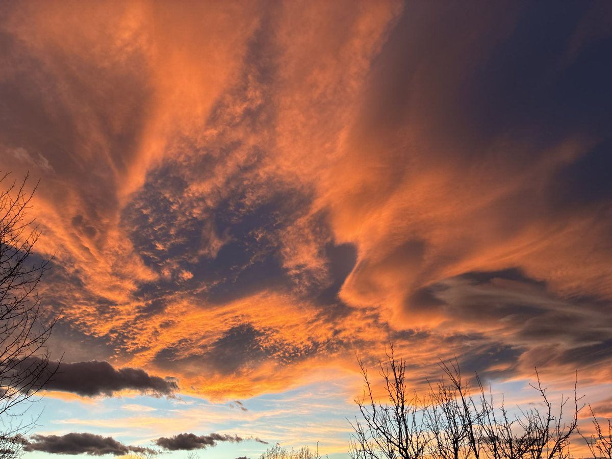 Marc Stout tweet media