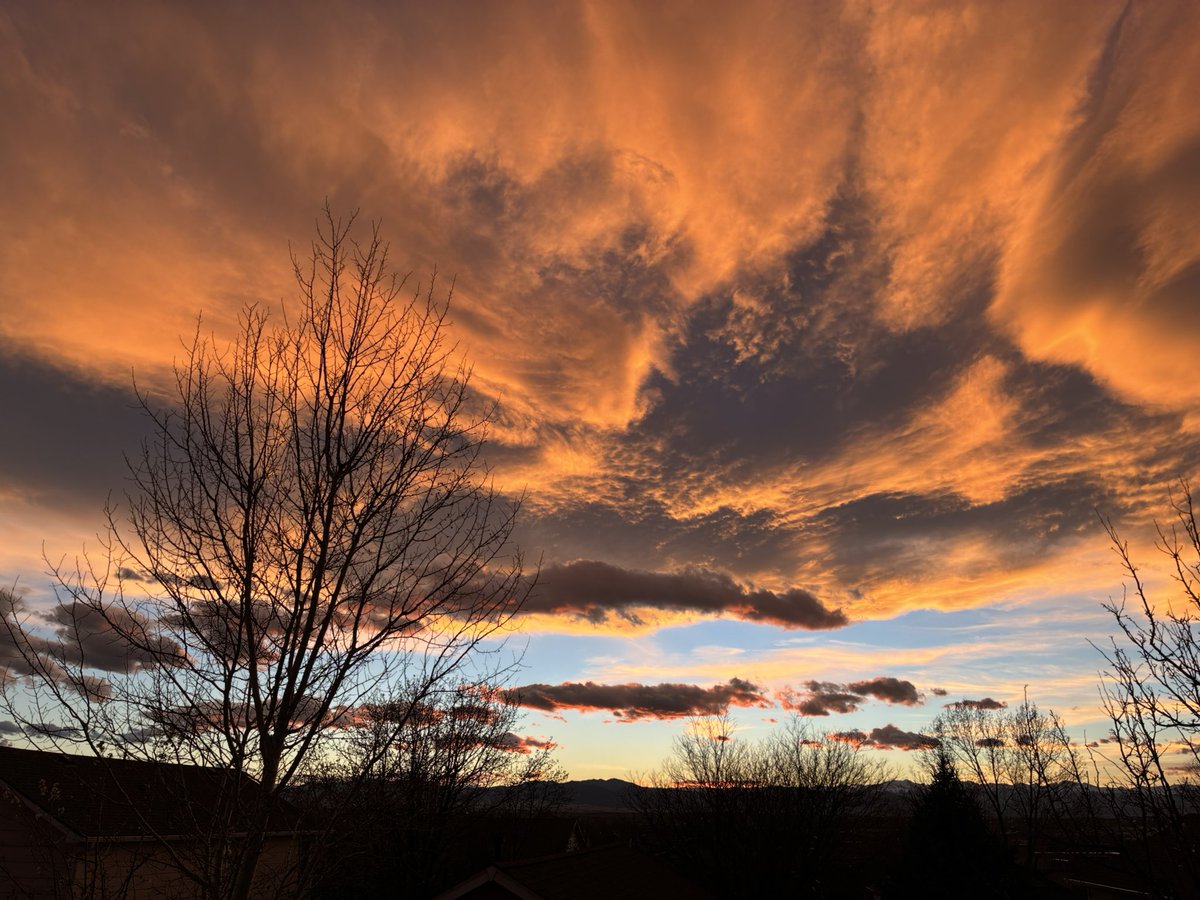 Marc Stout tweet media