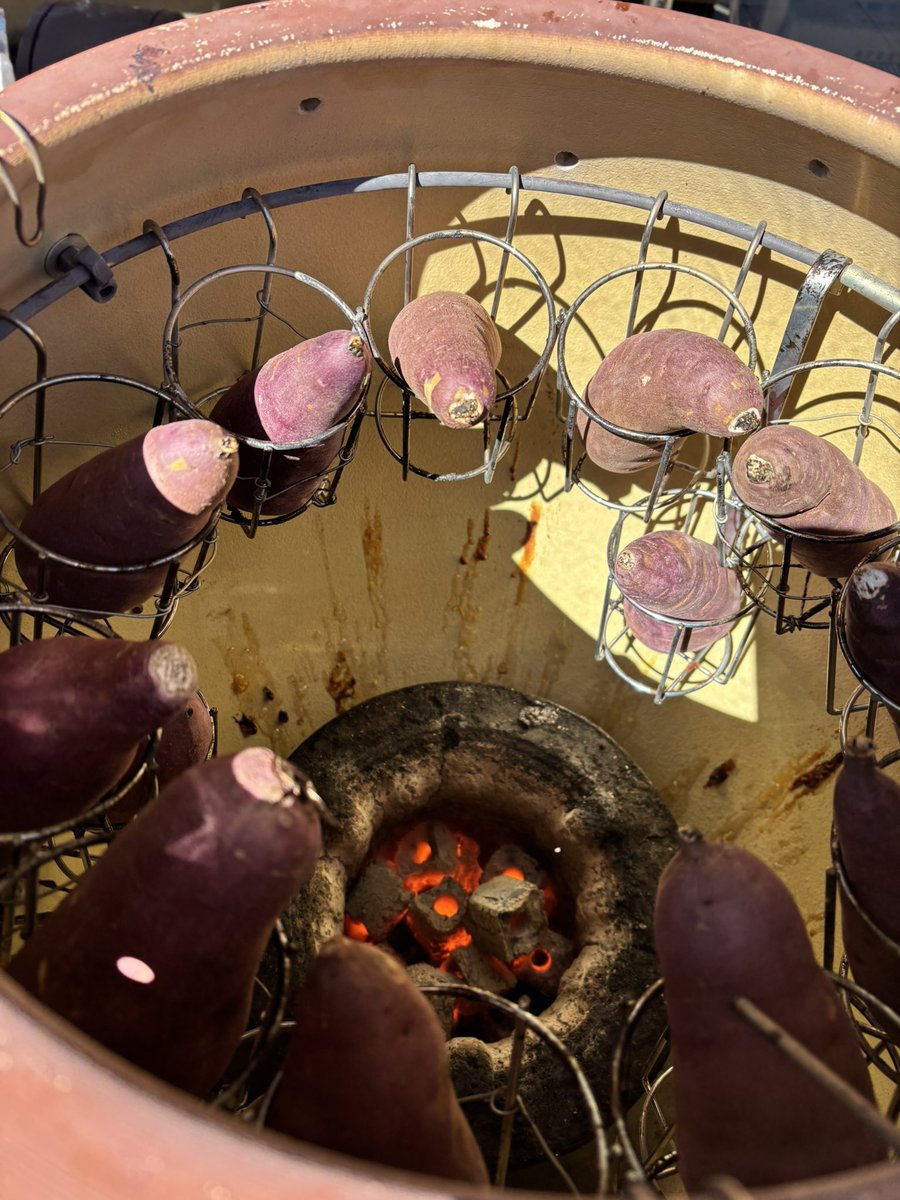 7tsuzuka_farms's tweet photo. つぼ焼き芋屋さん🍠

本日つぼ焼き芋の販売があります！
壺の中で🏺可愛く並んで焼き上がりを待っています。ほくほく、甘々な焼き芋です。可愛い黄色のキッチンカーが目印です🤗 https://t.co/TjTwxv5fpc