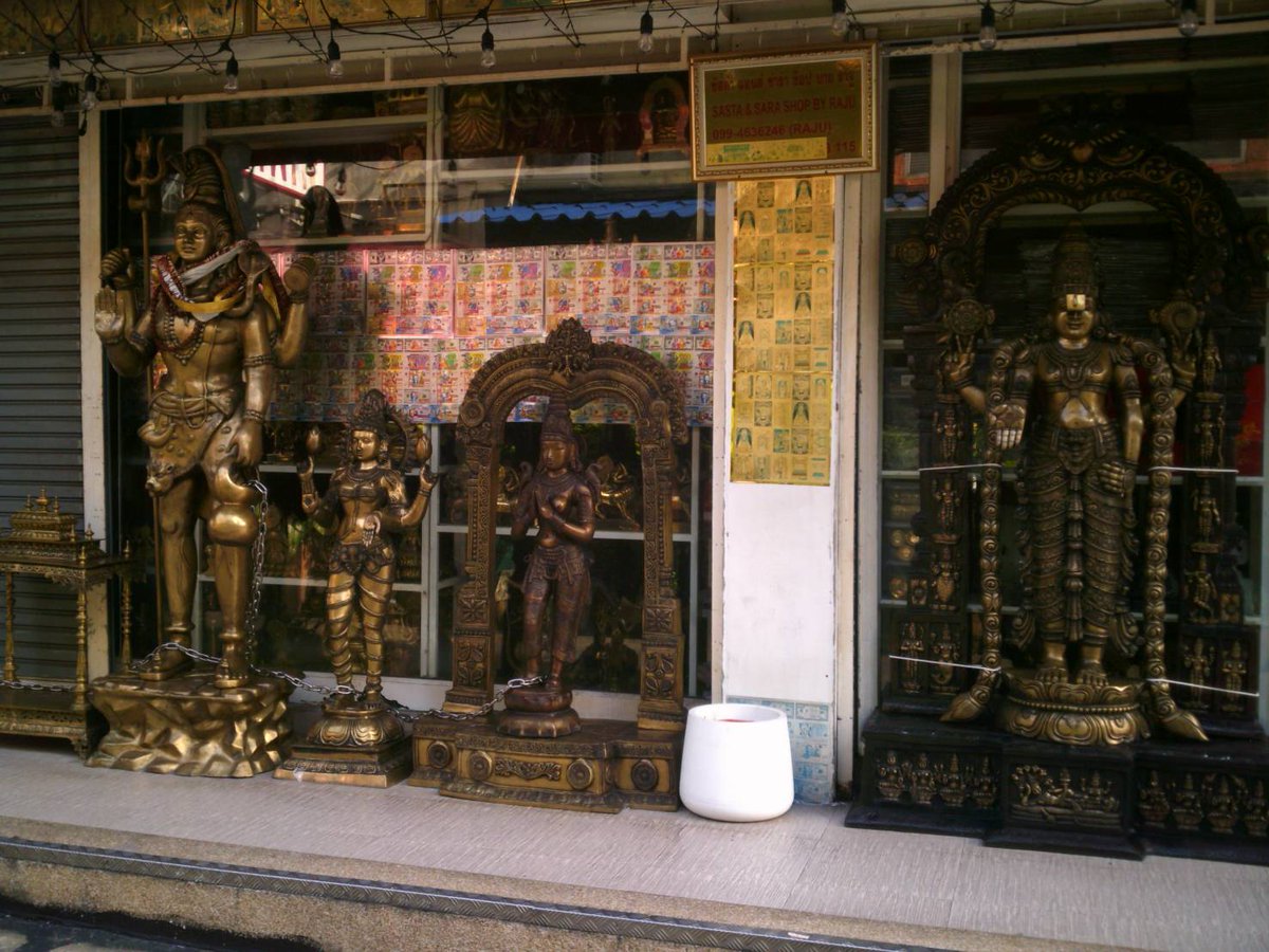 Willow 🏳️🌈🏳️⚧️ tweet media