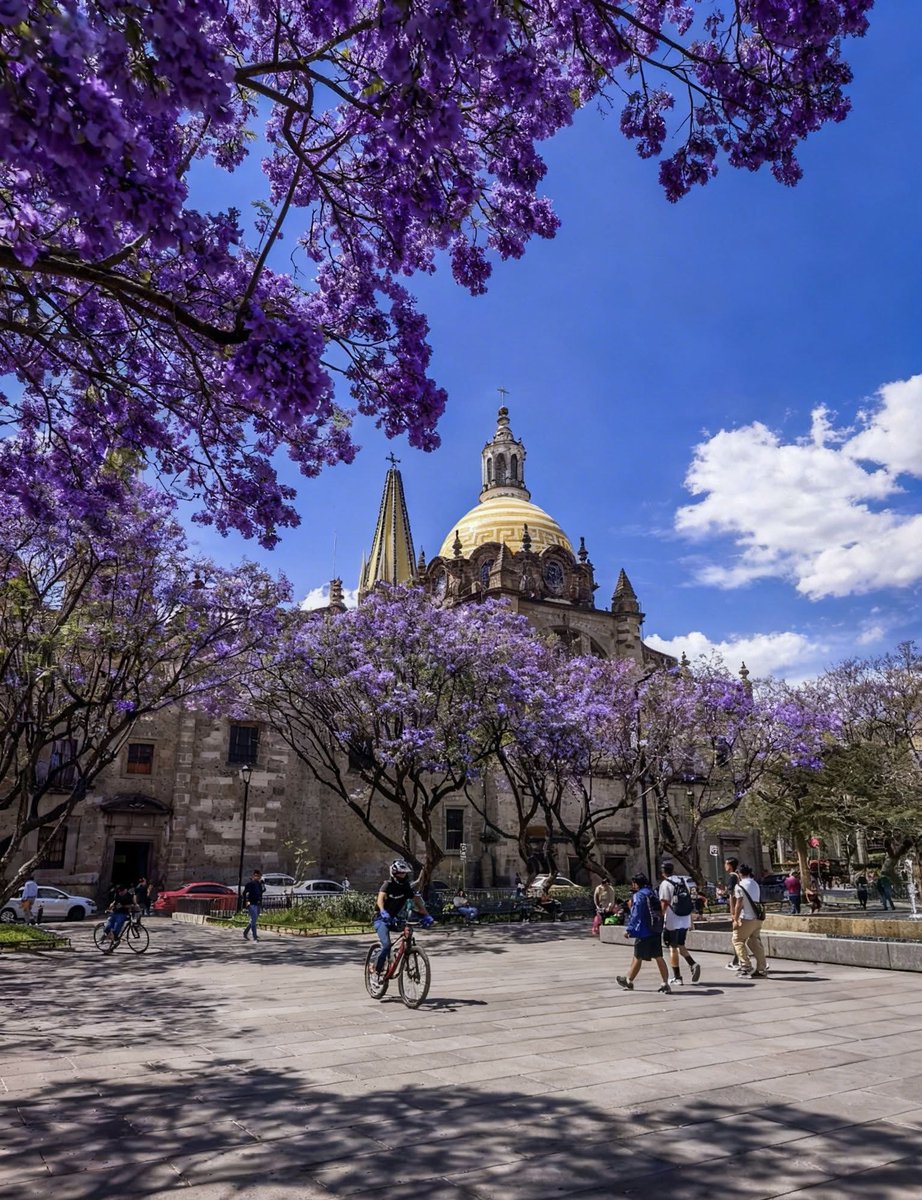 Rafa Ramírez Mx tweet media