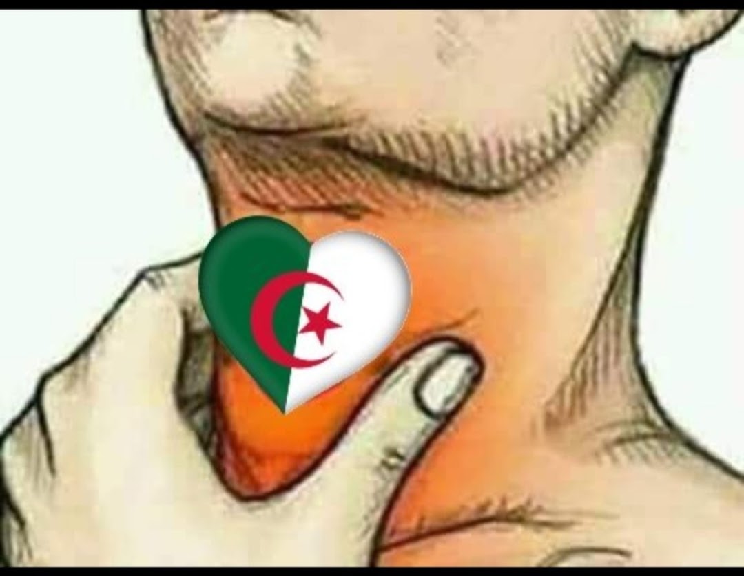 Fethi1Hasnaoui's tweet photo. @Le_Figaro https://t.co/DEzJlUTxI8