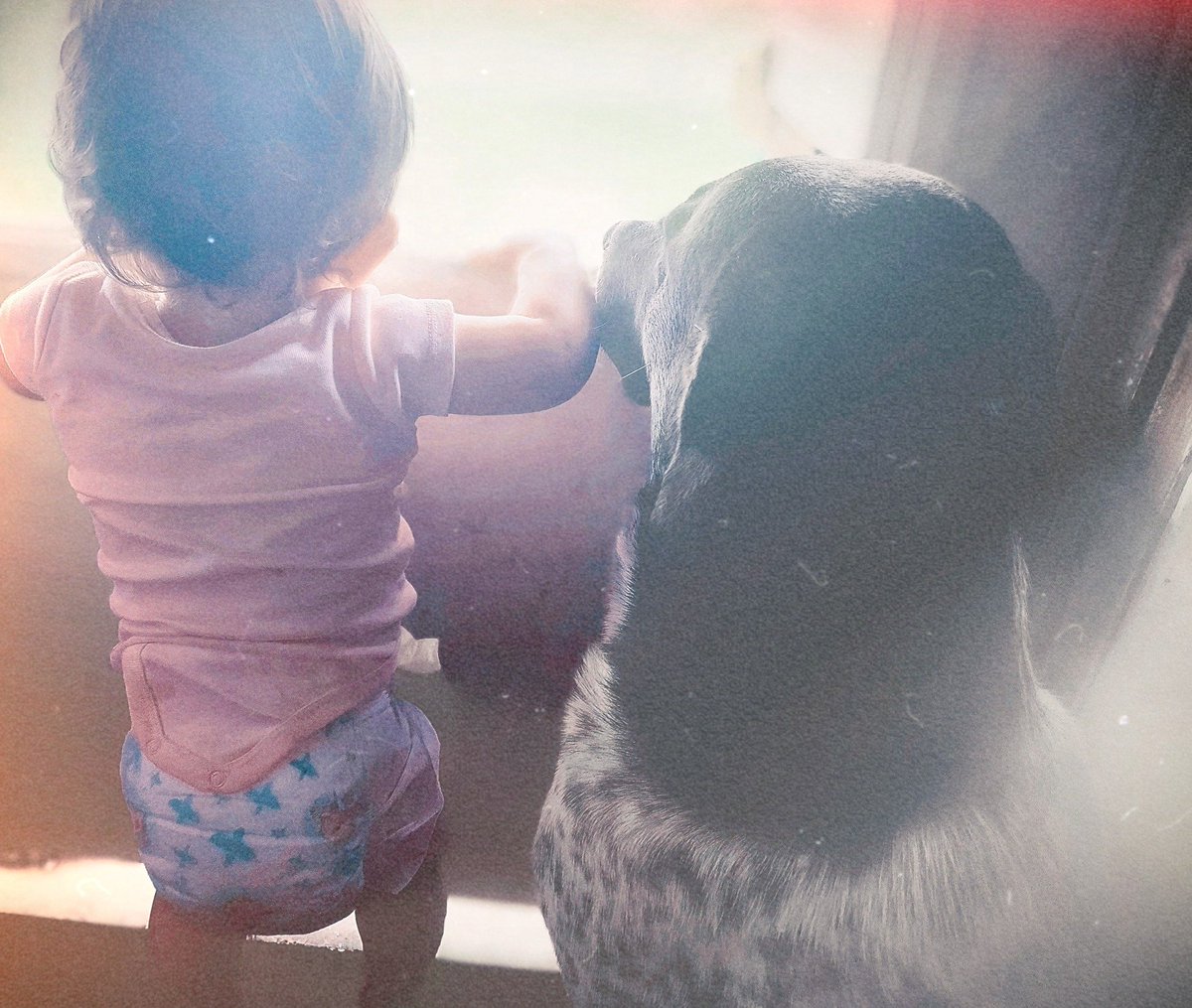 Queenie ♡ tweet media