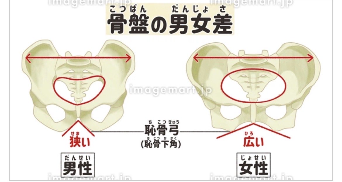 お尻を追いかけるさつき🍑 1児ママWebディレクター tweet media