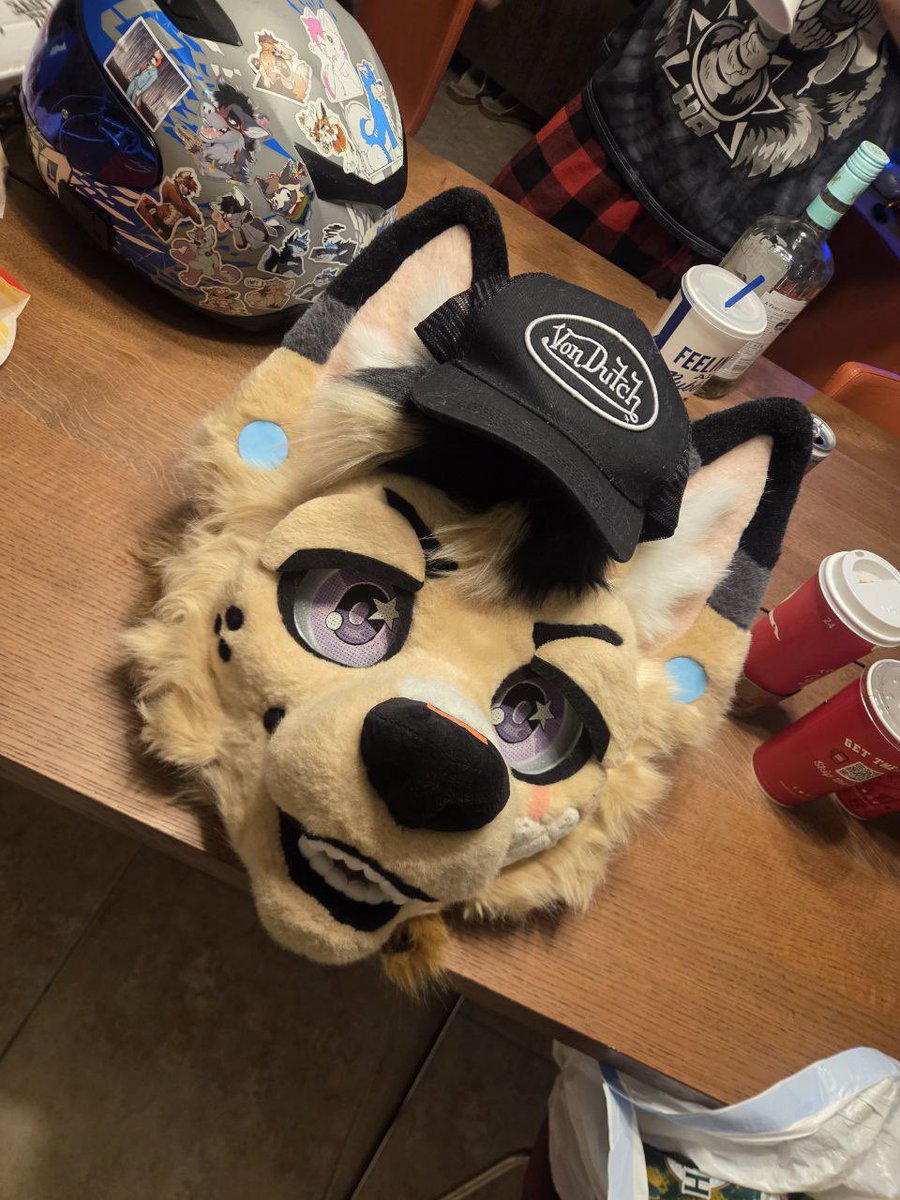 Kino! 🔜 FE, TFF, LVFC tweet media