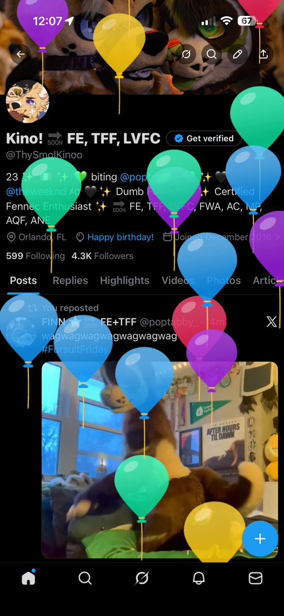 Kino! 🔜 FE, TFF, LVFC tweet media