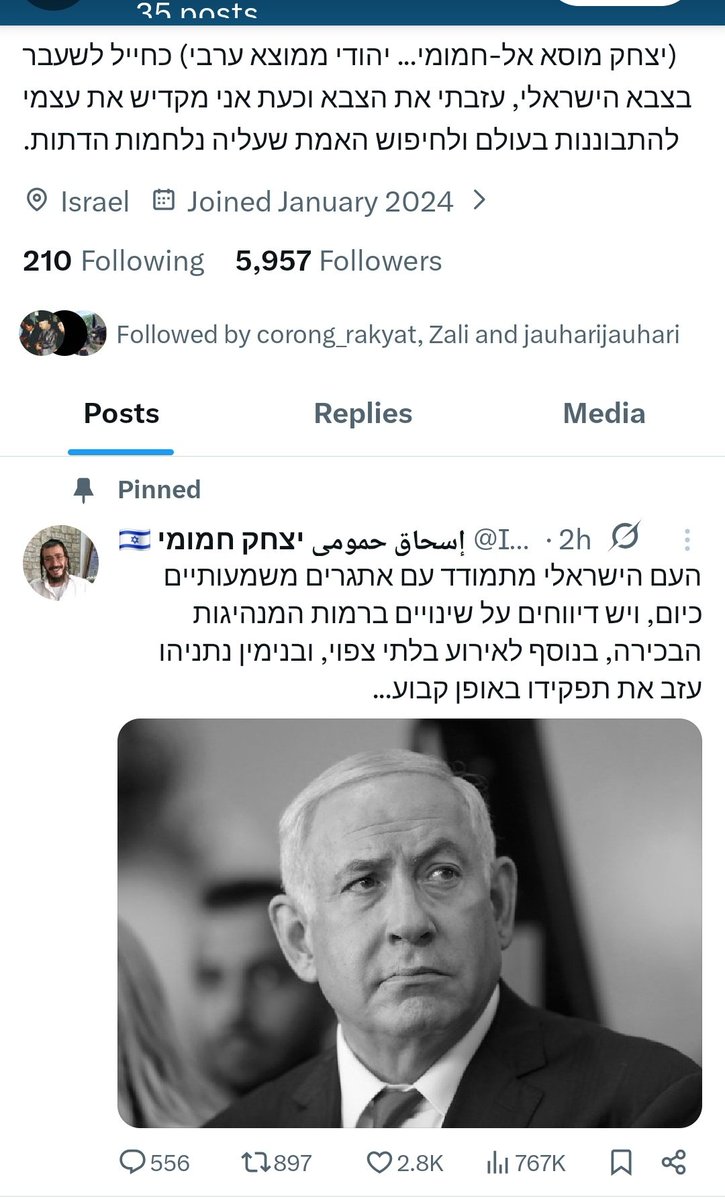 222 Mountains For 🇵🇸 tweet media