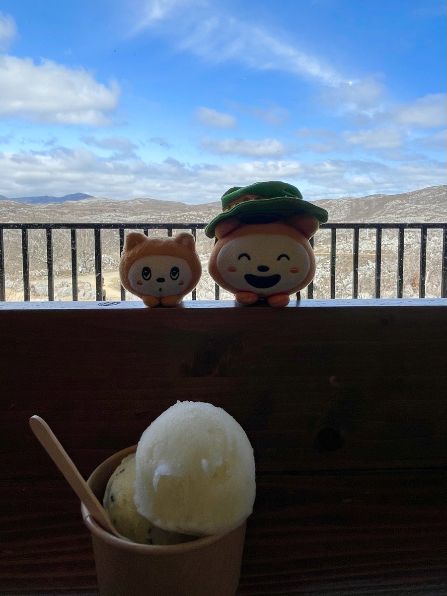 探検日和にゃん⛰️☀️
#おでかけそうにゃん
